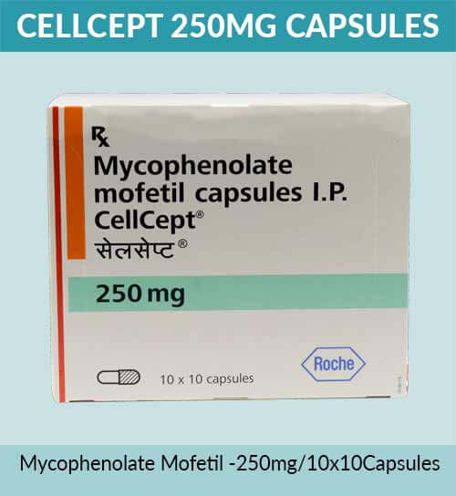 Cellcept 250 Mg